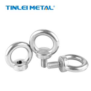 DIN 580 Stainless Steel Eye Bolt